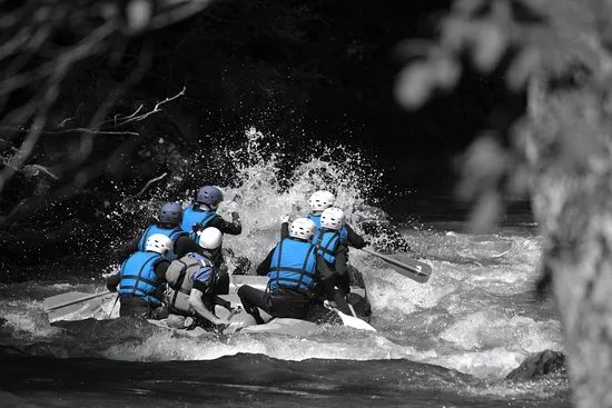 Frogs Rafting