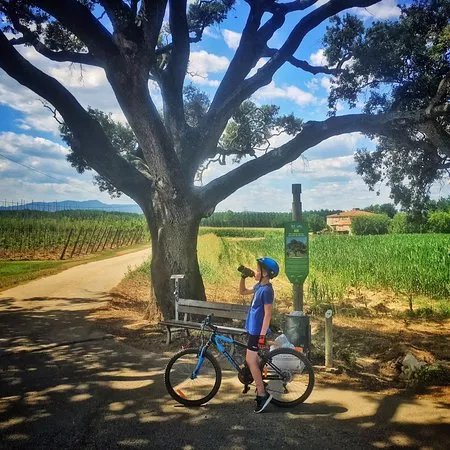 Fietsen in Girona