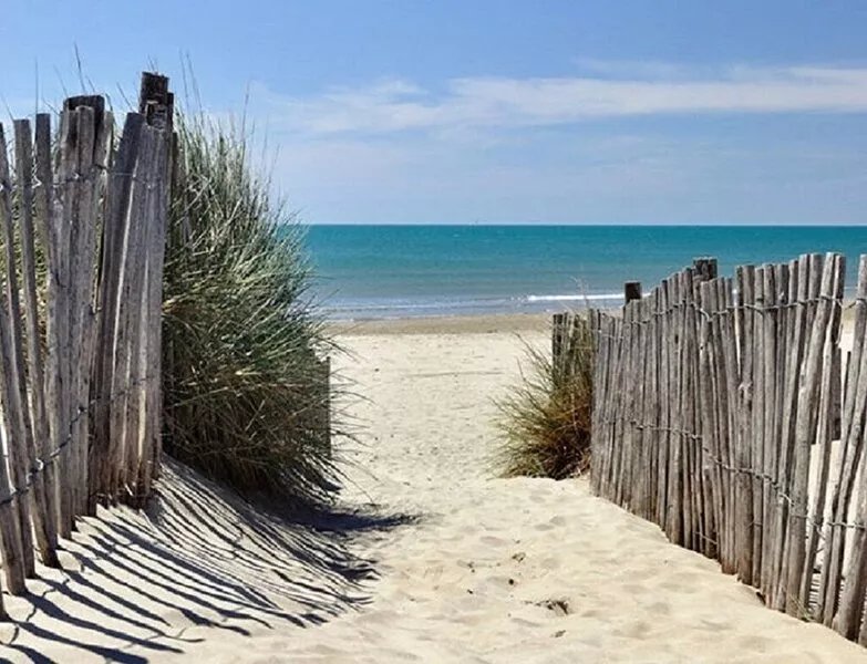 promo!T2 55M2 / 3 PERS / PRIVATE PARK / BUS 1 € BEACH / AIR CONDITIONER IF