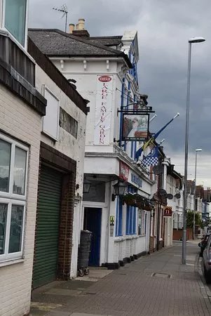 The Rose in June