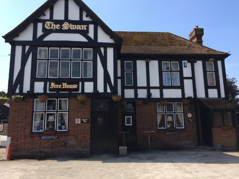 The Swan