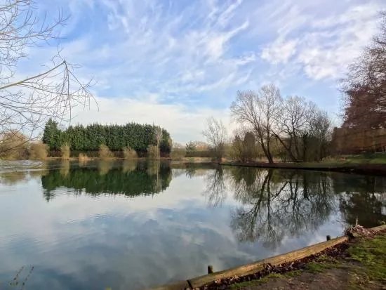 Woodland Waters Fishing