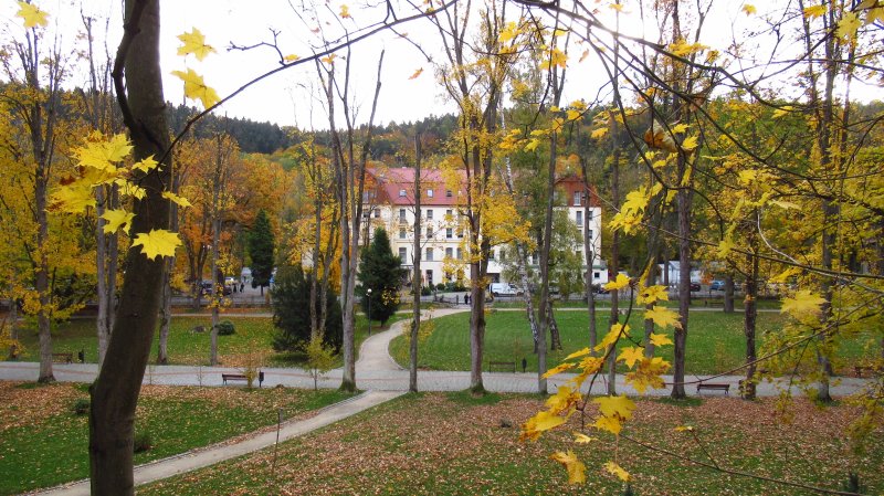 Park Zdrojowy Dlugopole Zdroj