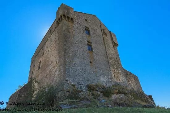 Castle of Montaigut