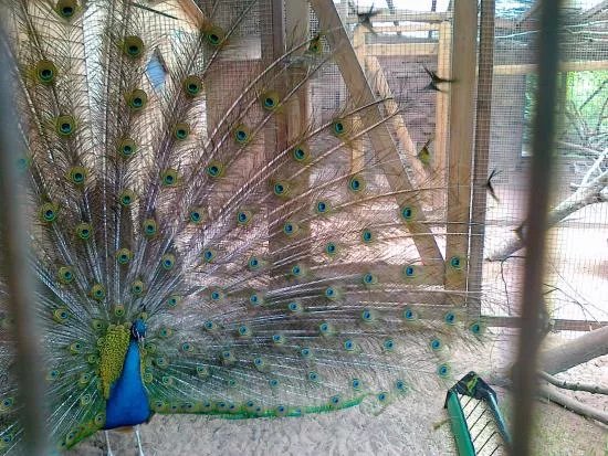 Zoo Kaiserslautern