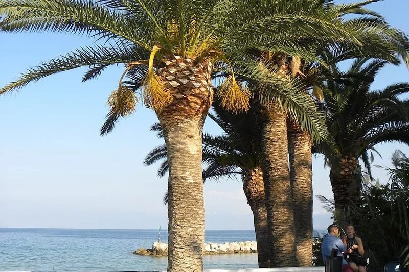 Your Fantastic Holiday in a Quaint Village Near the Beach with Mountain View