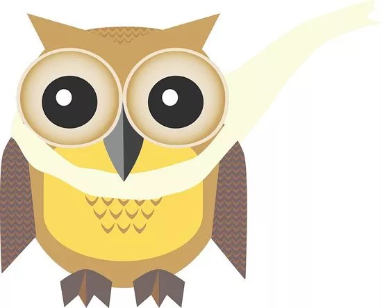 Owls Play Centre
