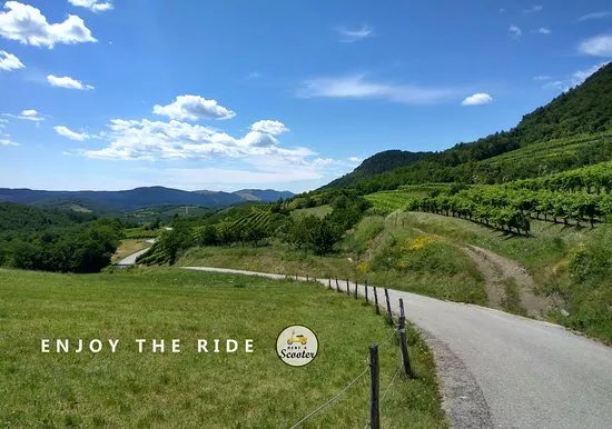 Rent a Scooter - Vipava valley