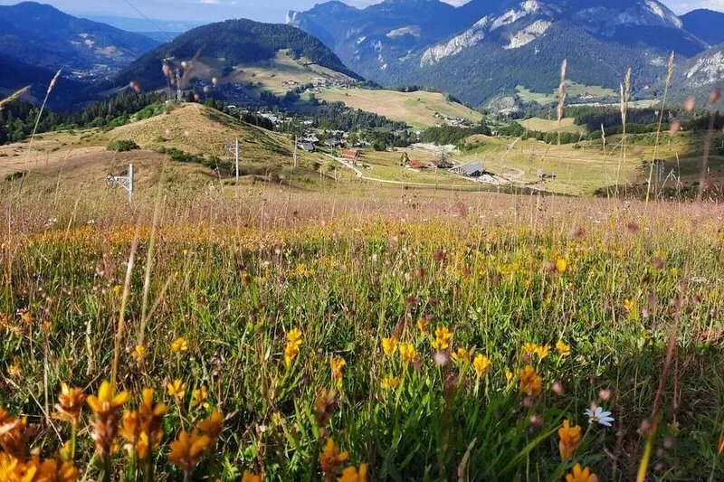 110m2 chalet, all comforts, in the heart of the mountain pasture.