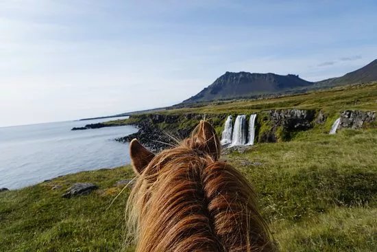 Grof Horseback Riding Iceland & The Holy Ram Lodge