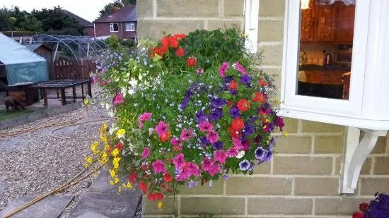 Glapwell Nurseries