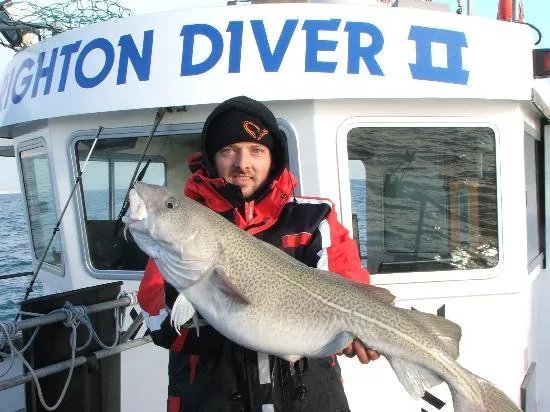 Brighton Diver