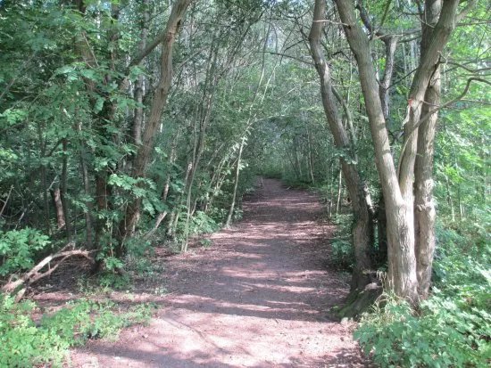 Maes-y-Pant / Marford Quarry