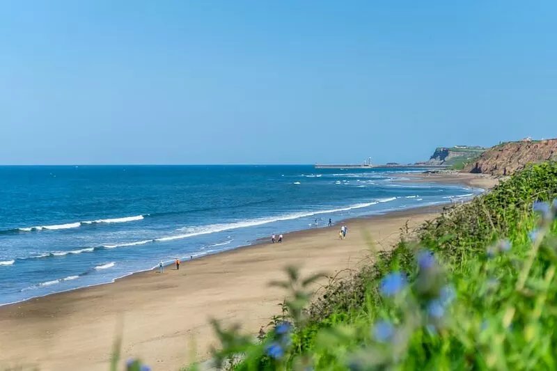 Sandsend - Jasmine Cottage - sleeps 2 guests  in 1 bedroom
