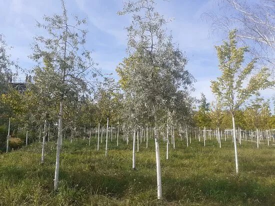 Gelande der Bundesgartenschau 2023
