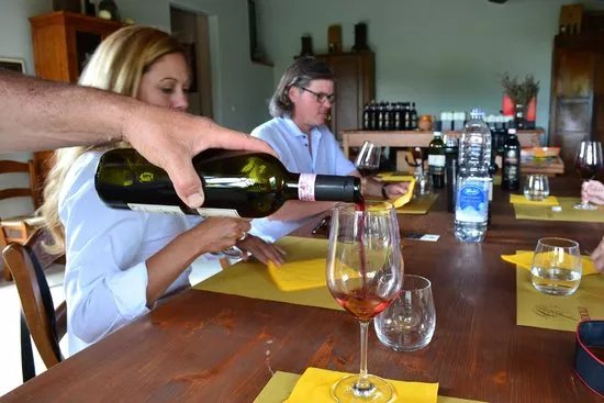 Italy and Wine