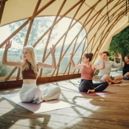 YogaLution Institut "V.I.P. yourself"