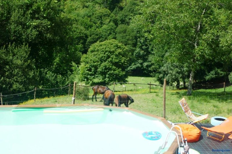 Farm/ Quinta Entre Sebes
