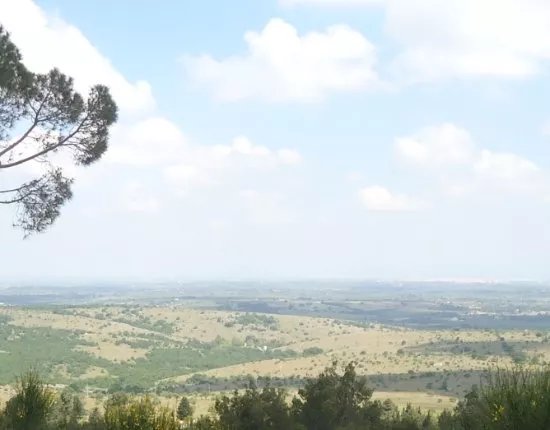La campagna andriese e la murgia