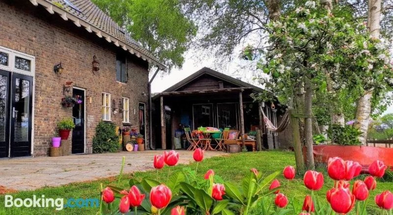 Olinda Flor Braziliaanse Bed & Breakfast