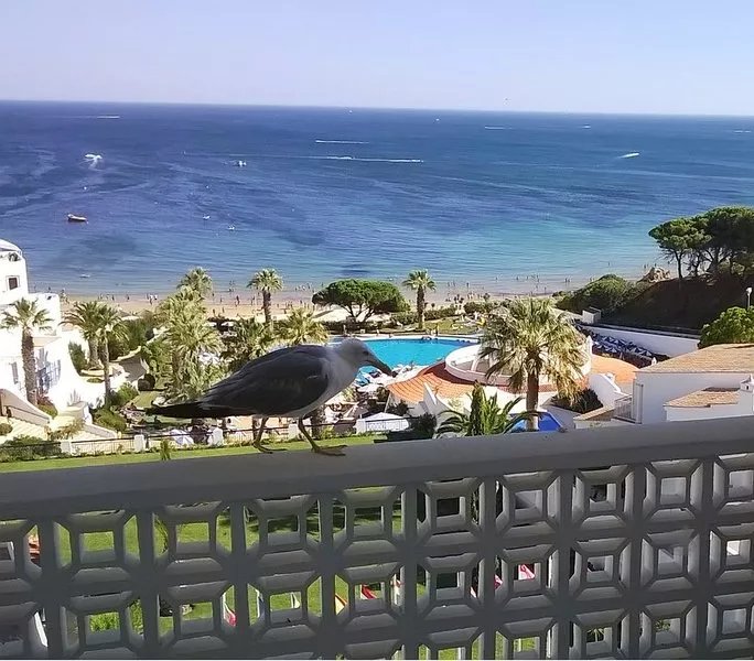 Muthu Oura View Beach Club, very nice apartment, on the beach front.