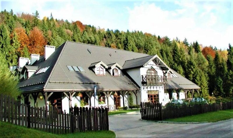 GoSciniec