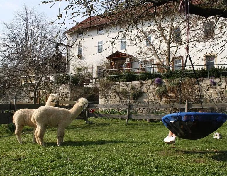 Large, rustic apartment on a farm with a view of the castle