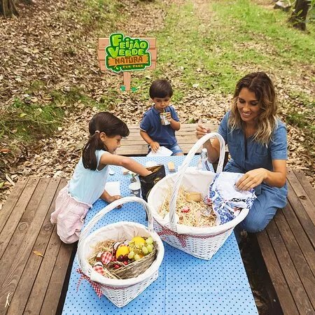Feijao Verde Natura Fun Park