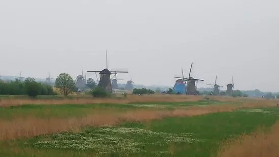 Travel Kinderdijk