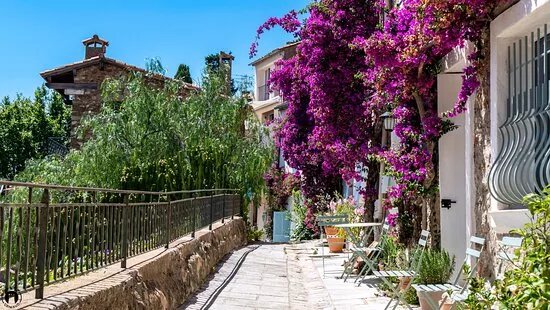Balade des Bougainvilliers