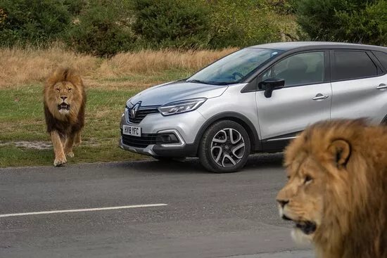 West Midlands Safari Park