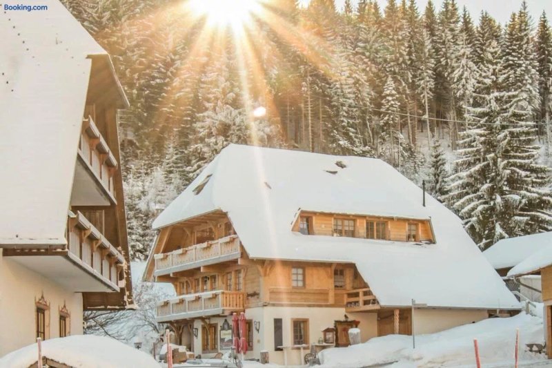 Holiday Apartements by Hotel Gruner Baum Feldberg