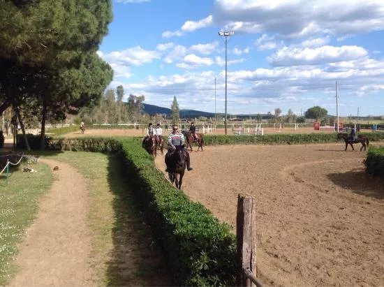 CM Equitazione