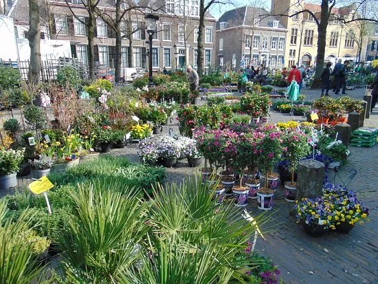 Bloemenmarkt, Janskerkhof, Utrecht