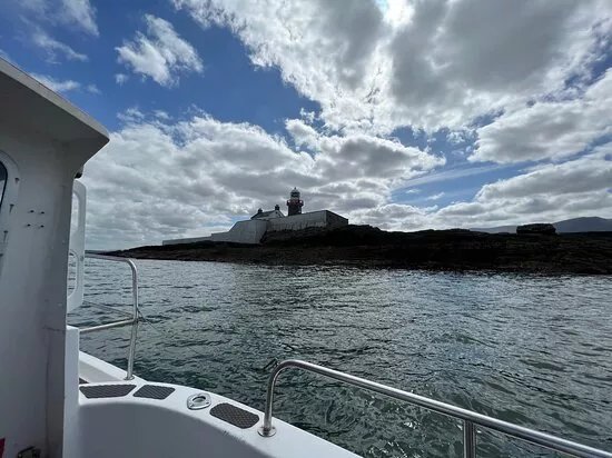 Tralee Bay Boat Trips