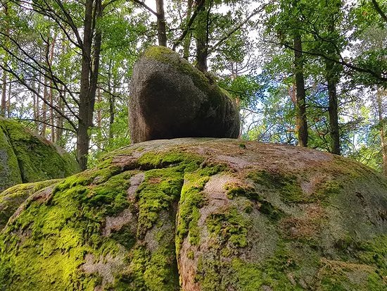Naturpark Blockheide