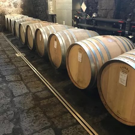 Tenuta di Fessina