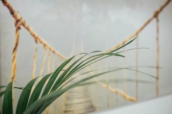 AcuFusion Acupuncture Clinic