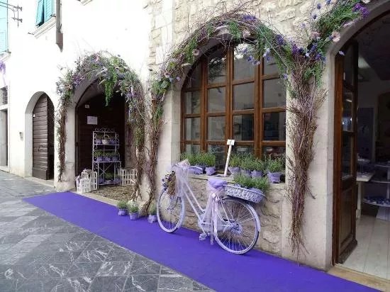 Lavanda di Venzone