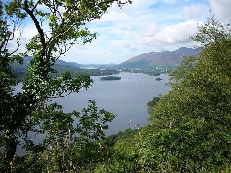 Badger's Way - In The Heart Of The English Lake District - Badger Watching Here