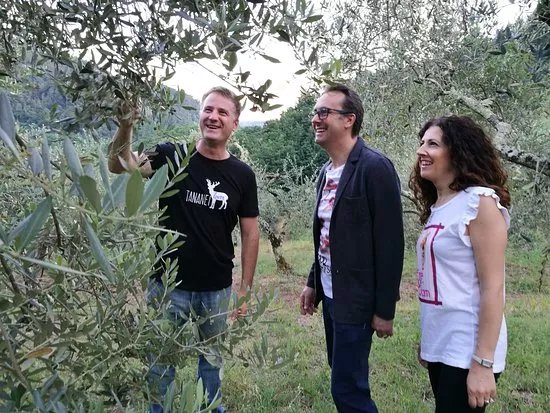 Agriturismo Tananei - Extra Virgin Olive Oil experience