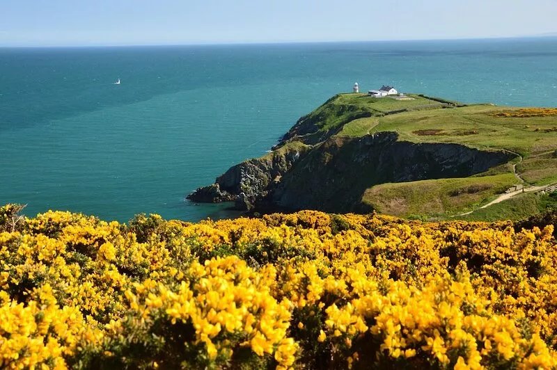 A  stylish and sophisticated property centrally located in Howth