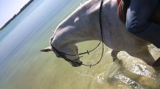 Het Zwarte Water