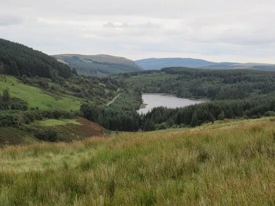 Craig Cerrig Gleisiad a Fan Frynych National Nature Reserve