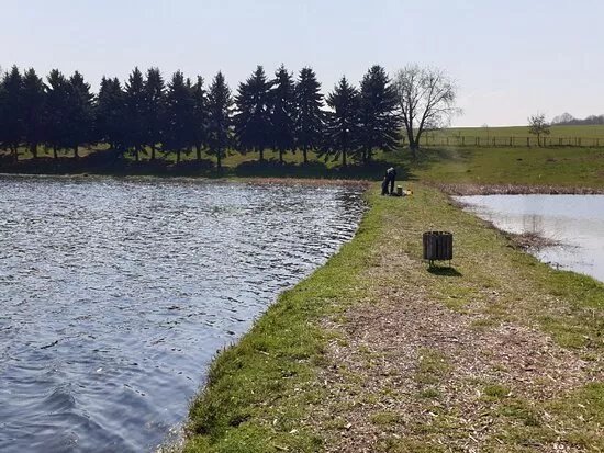 Angelteich Chemnitz-Rohrsdorf