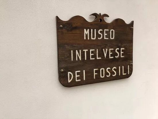 Museo Intelvese Dei Fossili