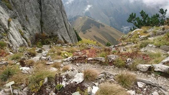 Alpine Garden La Rambertia