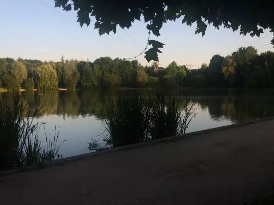 Parc de l'Arrou ou Lac de la Pinconniere