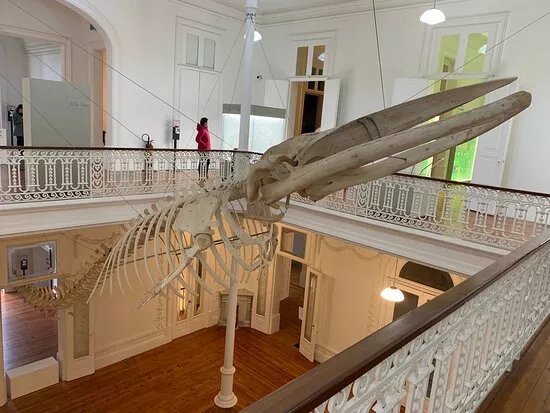 Galeria da Biodiversidade