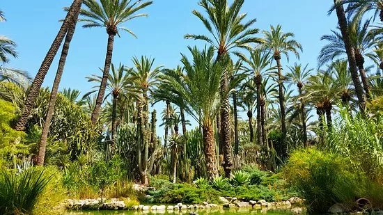Jardin Artistico Nacional Huerto Del Cura